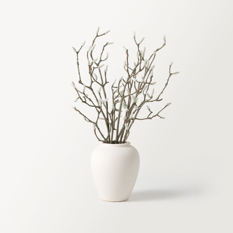 Willow Natural & White Branch in Vase