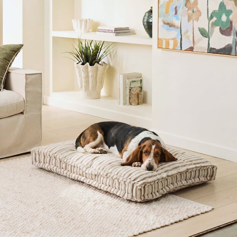 Oasis Tommy Brown Pet Bed Cushion