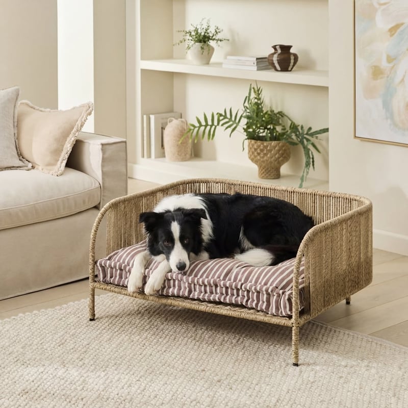Oasis Tommy Coffee Pet Bed Cushion