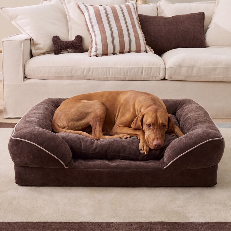 Adeline Chocolate Pet Bed