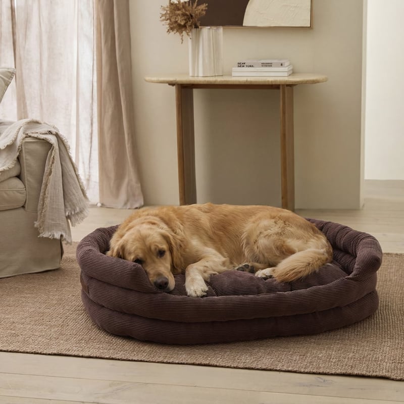 Ziggy Chocolate Pet Bed