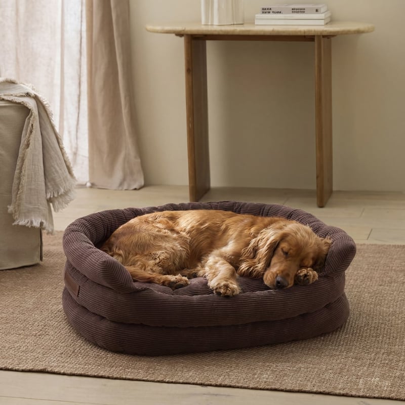 Ziggy Chocolate Pet Bed