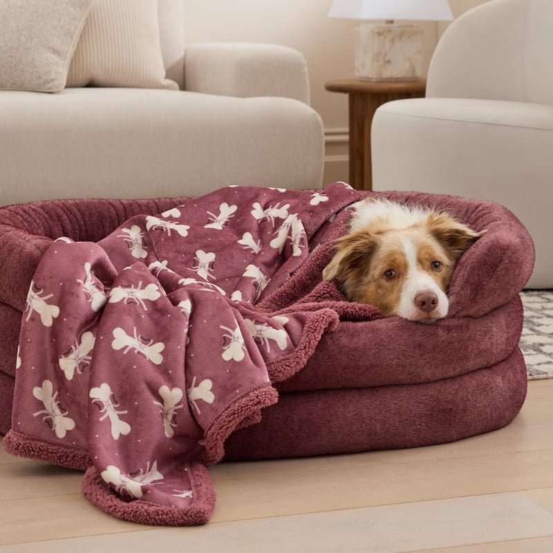 Maisy Bows Pet Blanket