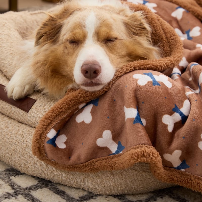 Maisy Bow Tie Pet Blanket