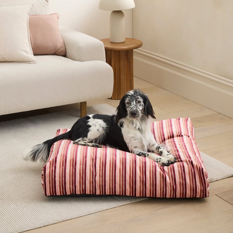 Etro Stripe Cedar Velvet Pet Bed