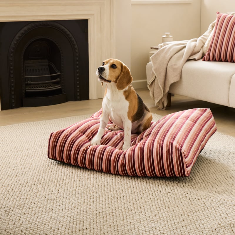 Etro Stripe Cedar Velvet Pet Bed