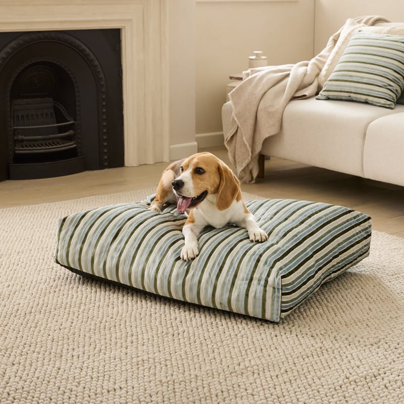 Etro Stripe Seaspray Velvet Pet Bed