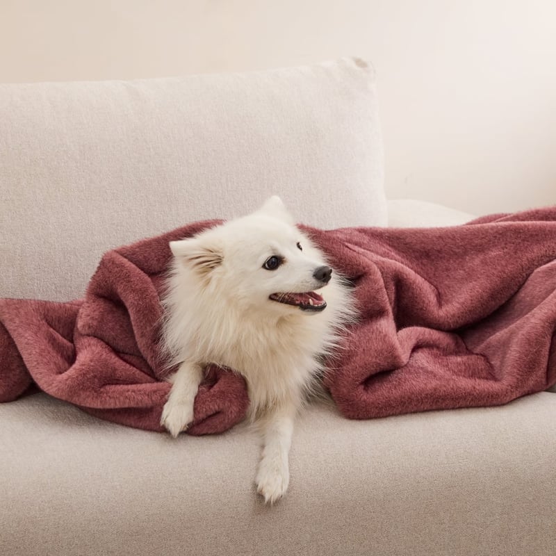 Zurich Pecan Recycled Fur Pet Blanket