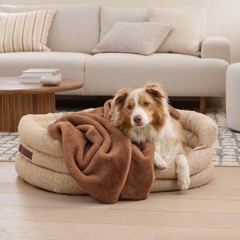 Zurich Pecan Recycled Fur Pet Blanket