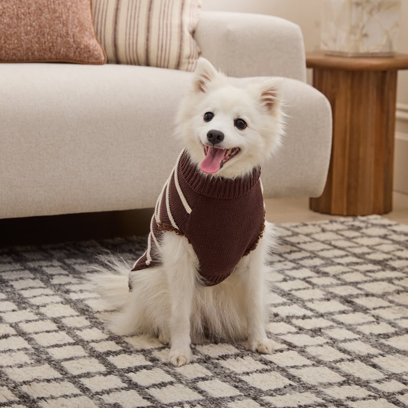Knitted Chocolate Stripe Pet Jumper