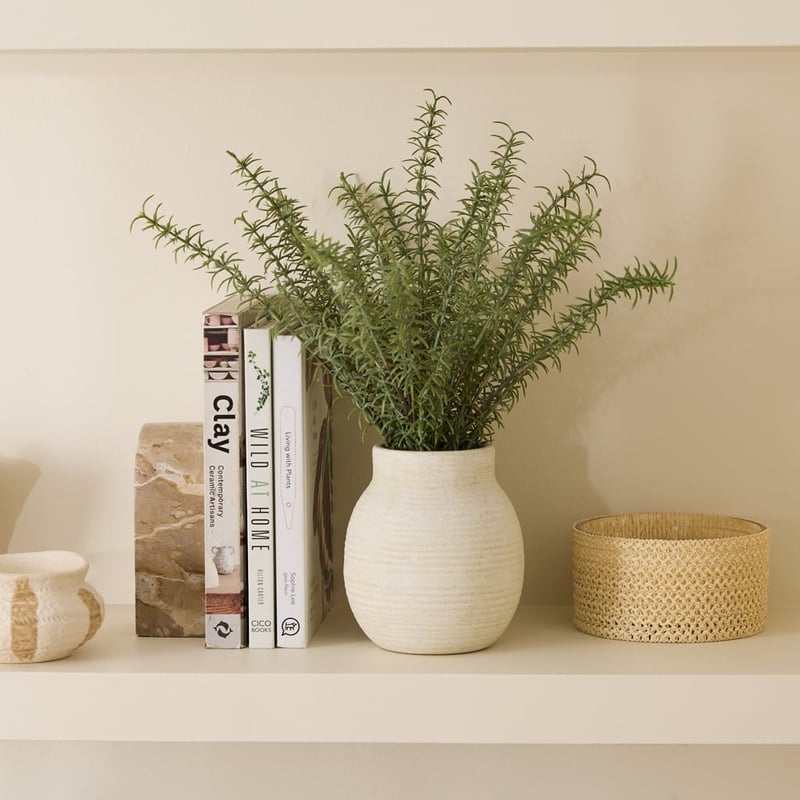 Rosemary in Natural Selena Vase