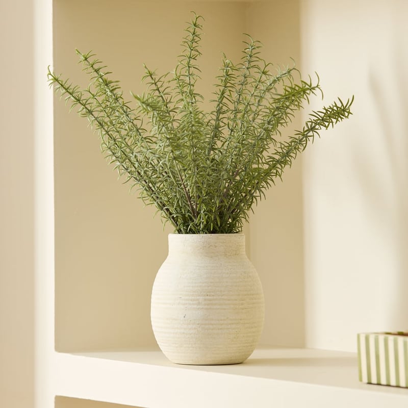 Rosemary in Natural Selena Vase