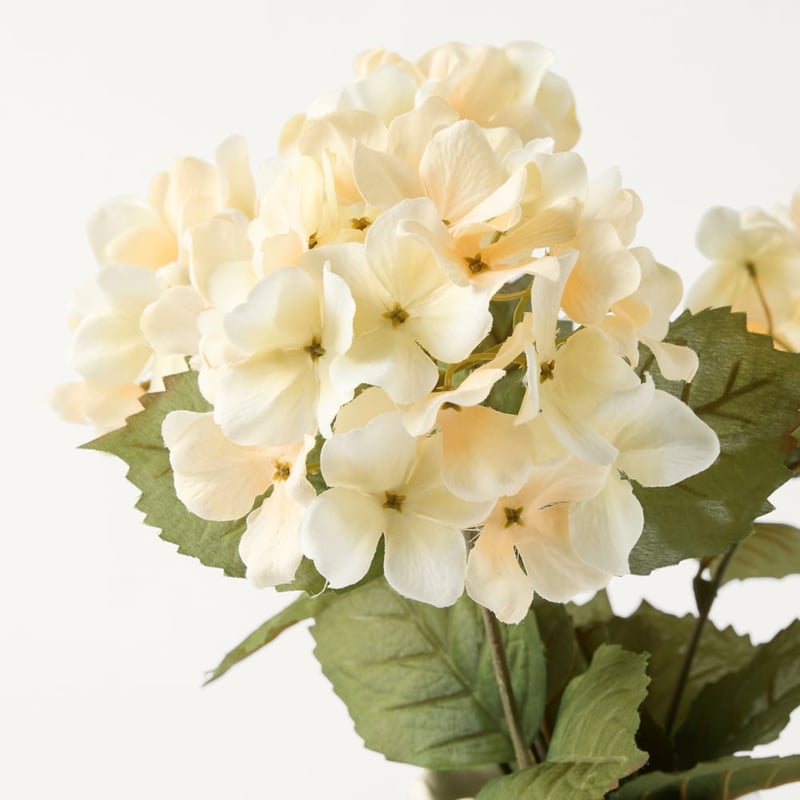 Hydrangea Cream Stem