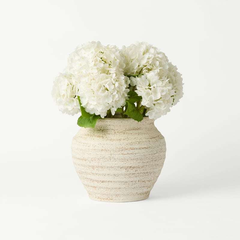 Hydrangea in Alexa Natural Pot