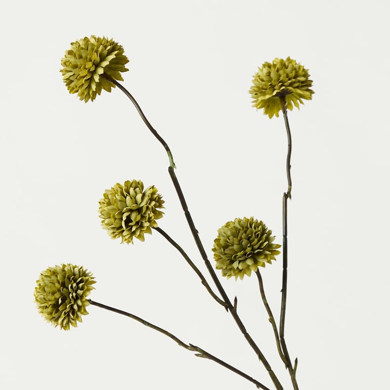 Pom Pom Green Spray Set of 3