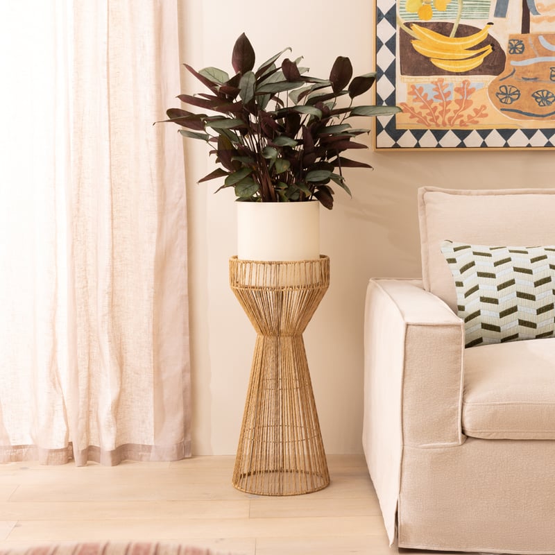 Sedona Natural Plant Stand