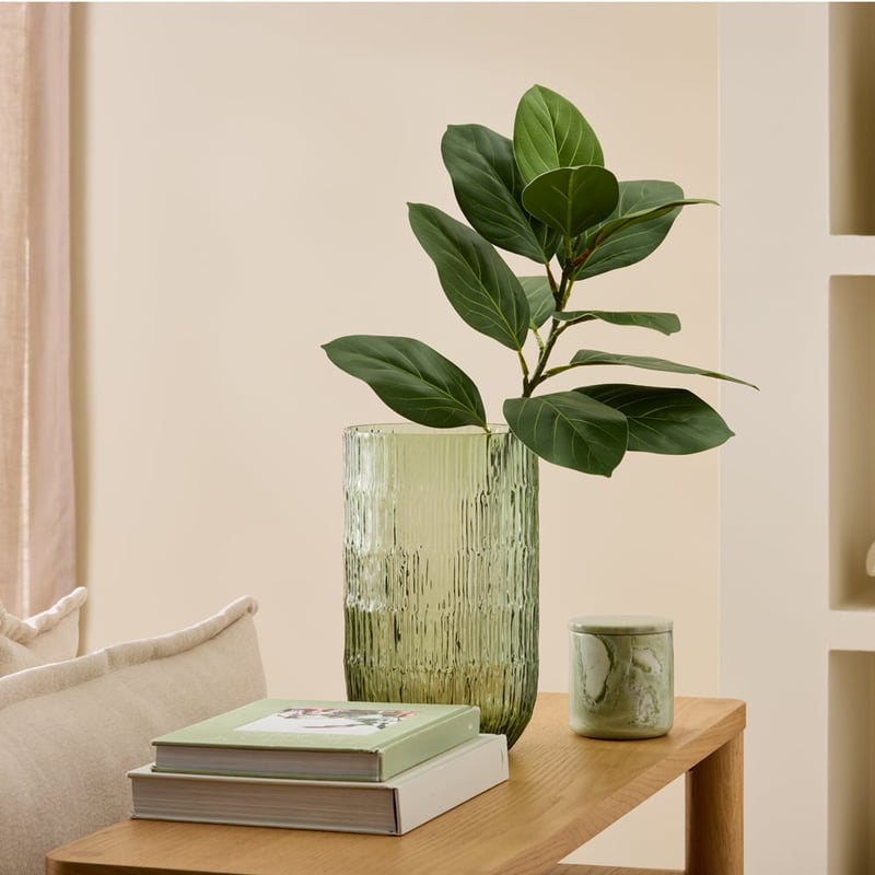 Fiddle Leaf Green Stem