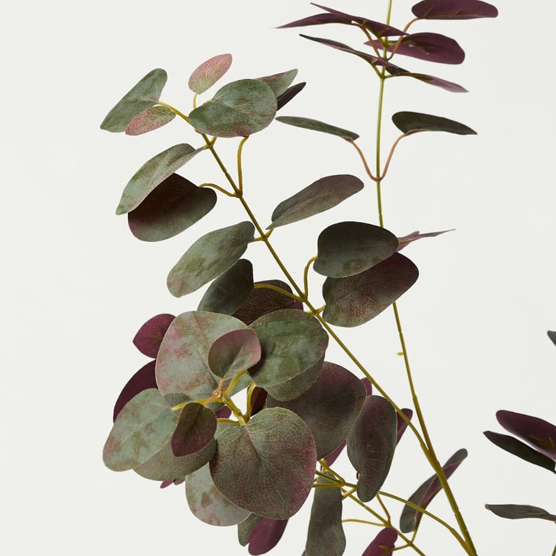 Eucalyptus Green & Burgundy Stem Pack of 2