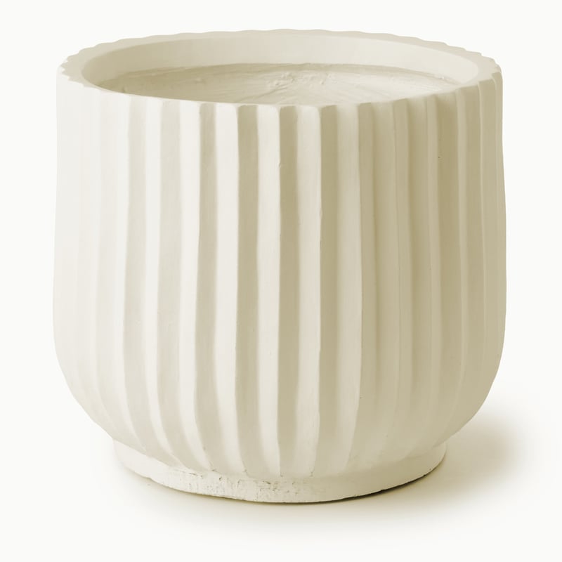 Apollo Warm White Pot