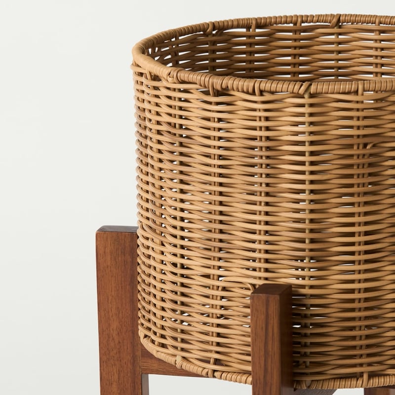 Arizona Natural Plant Stand