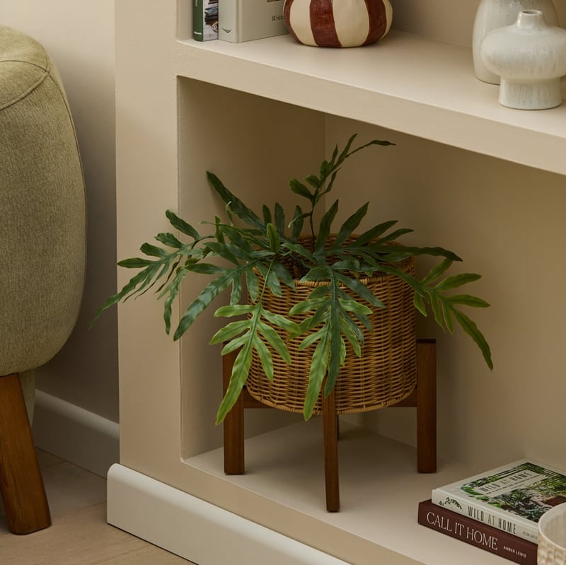 Arizona Natural Plant Stand