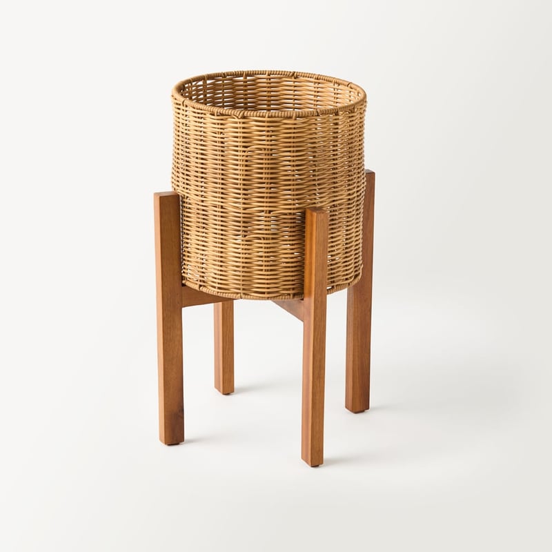 Arizona Natural Plant Stand