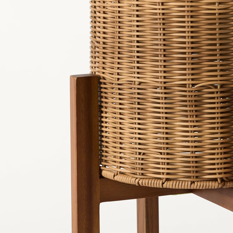 Arizona Natural Plant Stand