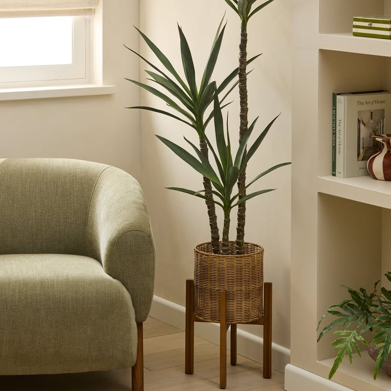 Arizona Natural Plant Stand