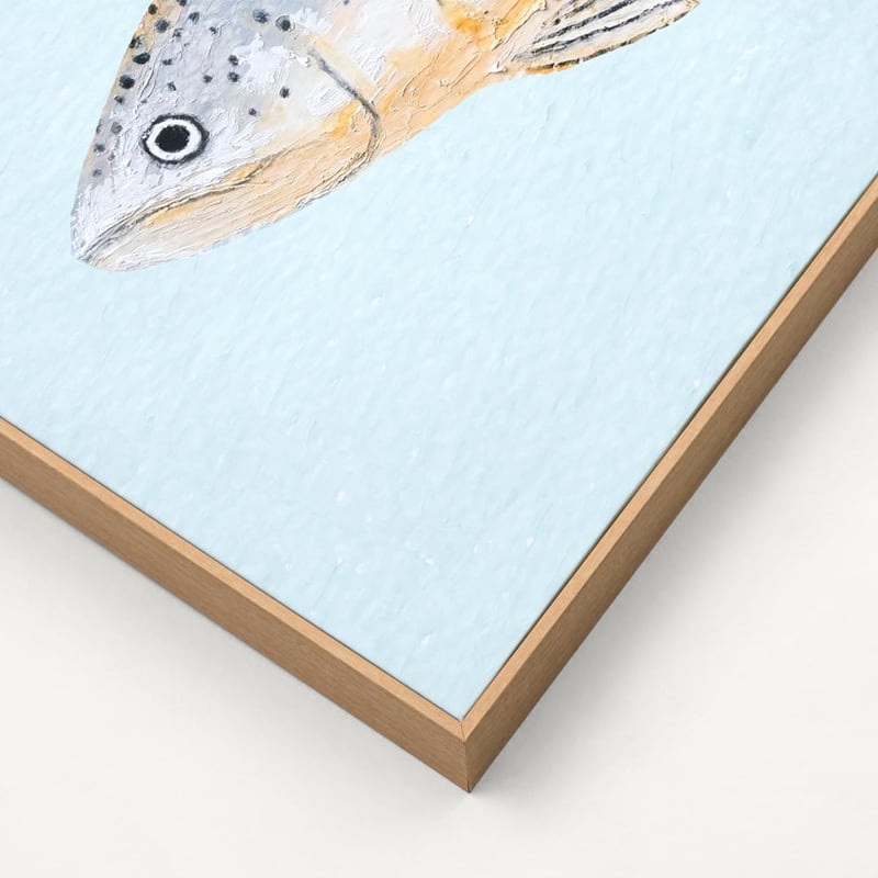 Marine Blue Trout Canvas 