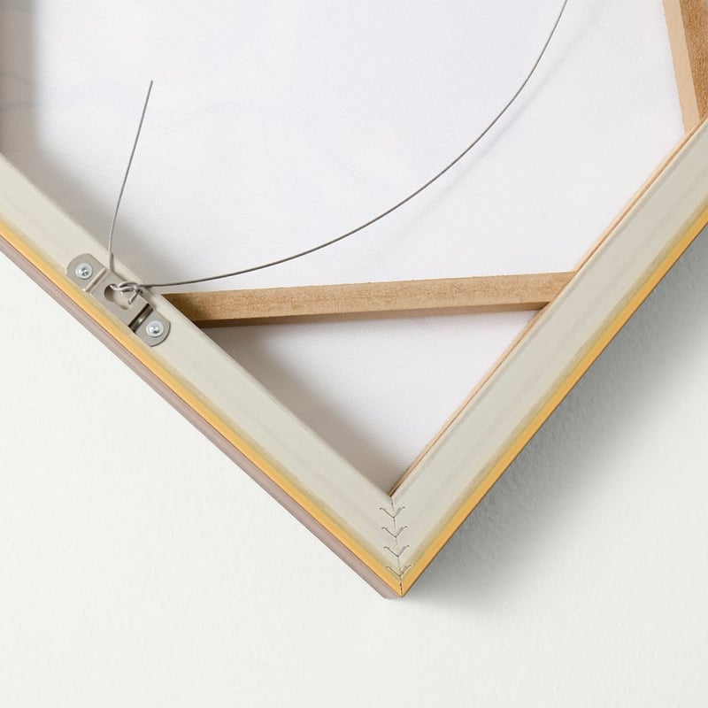 Fruit Pomegranate Bowl Canvas