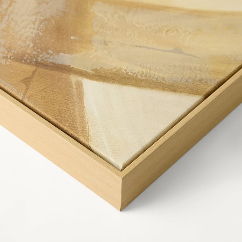 Linea Circa Multi-Direct Canvas