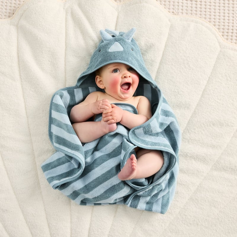 Nursery Dino Hooded Towel