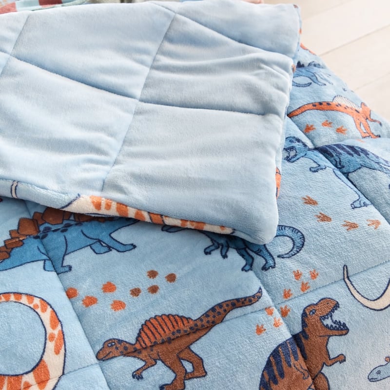  Dinosaur Friends Super Cuddly Blanket