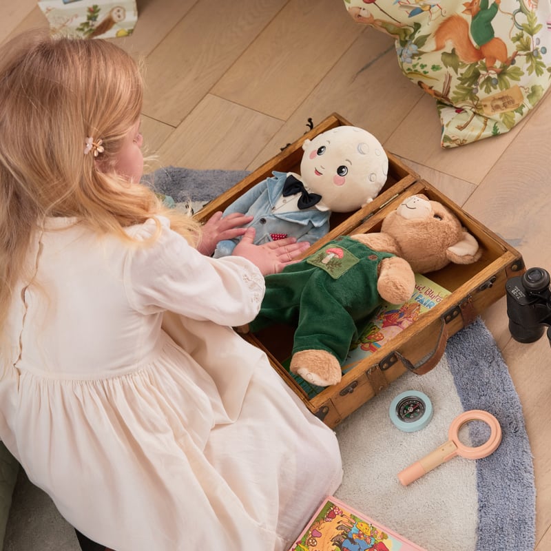 Fleur Harris Faraway Tree Moon Face Toy