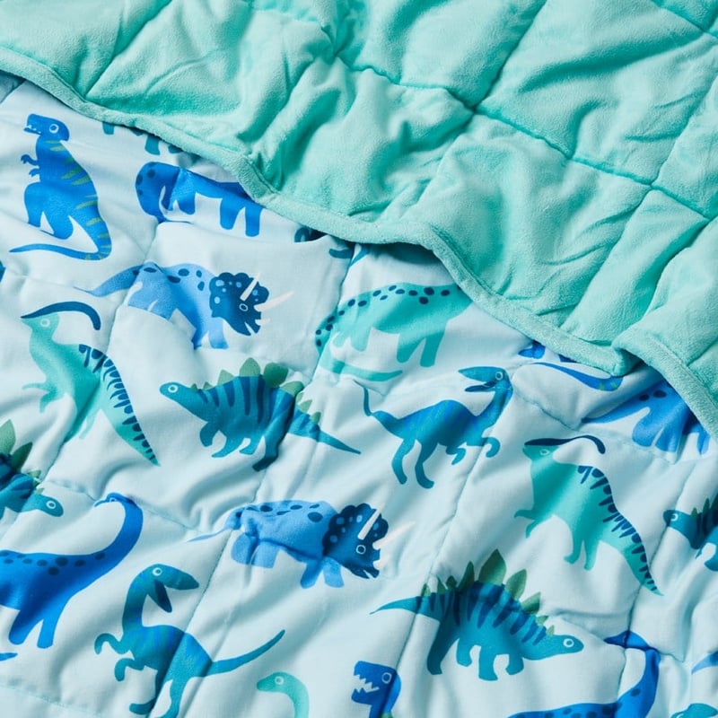 Printed Happy Dinosaurs Weighted Blanket