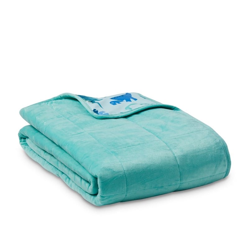 Printed Happy Dinosaurs Weighted Blanket