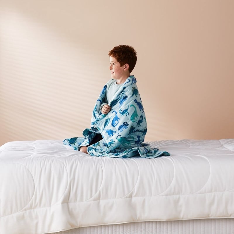 Printed Happy Dinosaurs Weighted Blanket