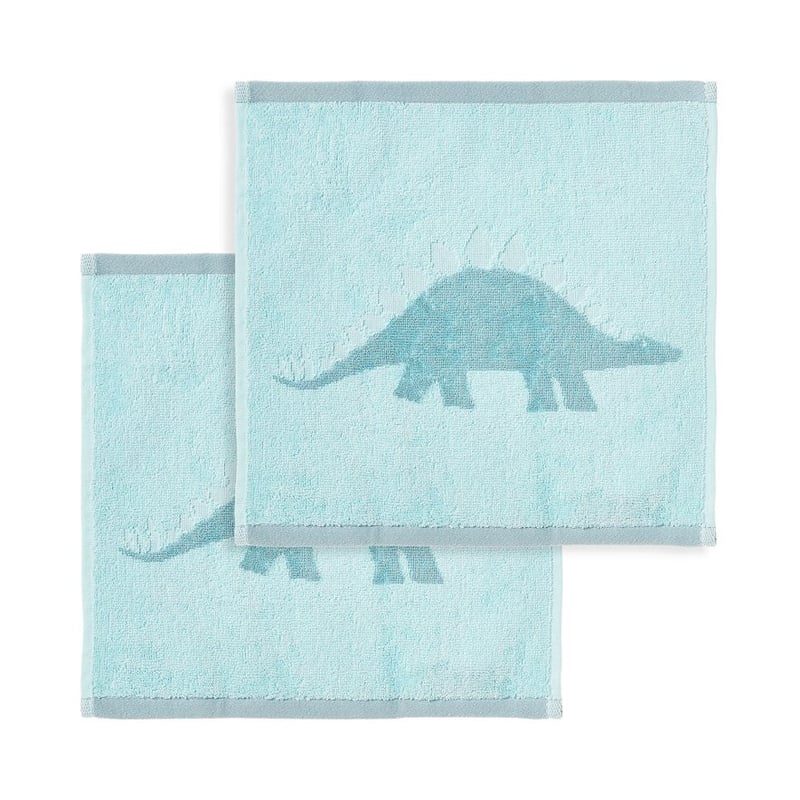 Stegosaurus Aqua Face Washers Pack of 2