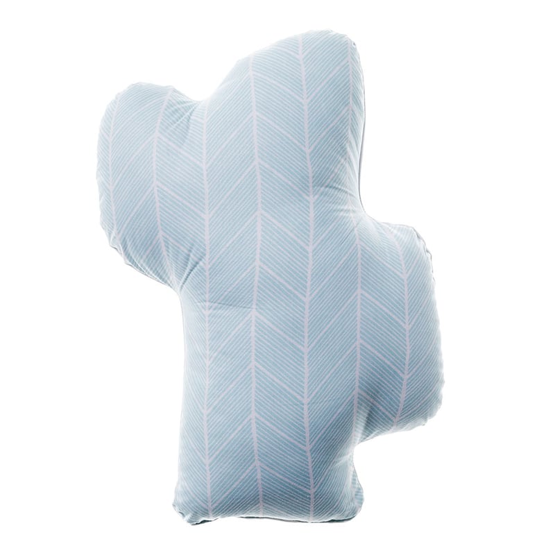 Brave Bandit Cactus Cushion
