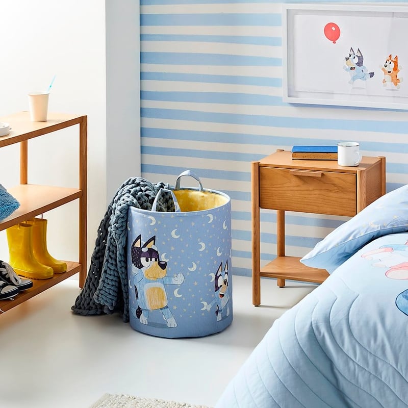 Bluey Heeler Family Dance Printed Basket