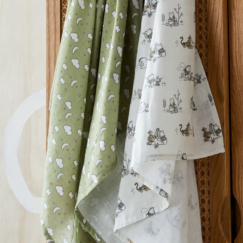 Disney Winnie The Pooh Fern Winnie & Friends Swaddle 2 Pack