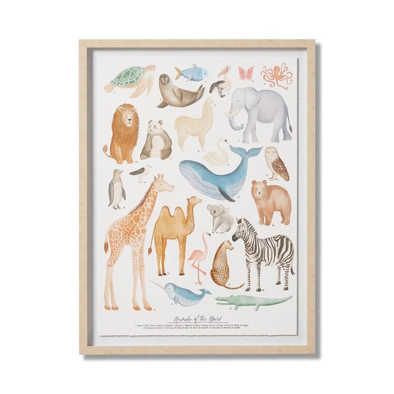 Animals of the World Wall Art