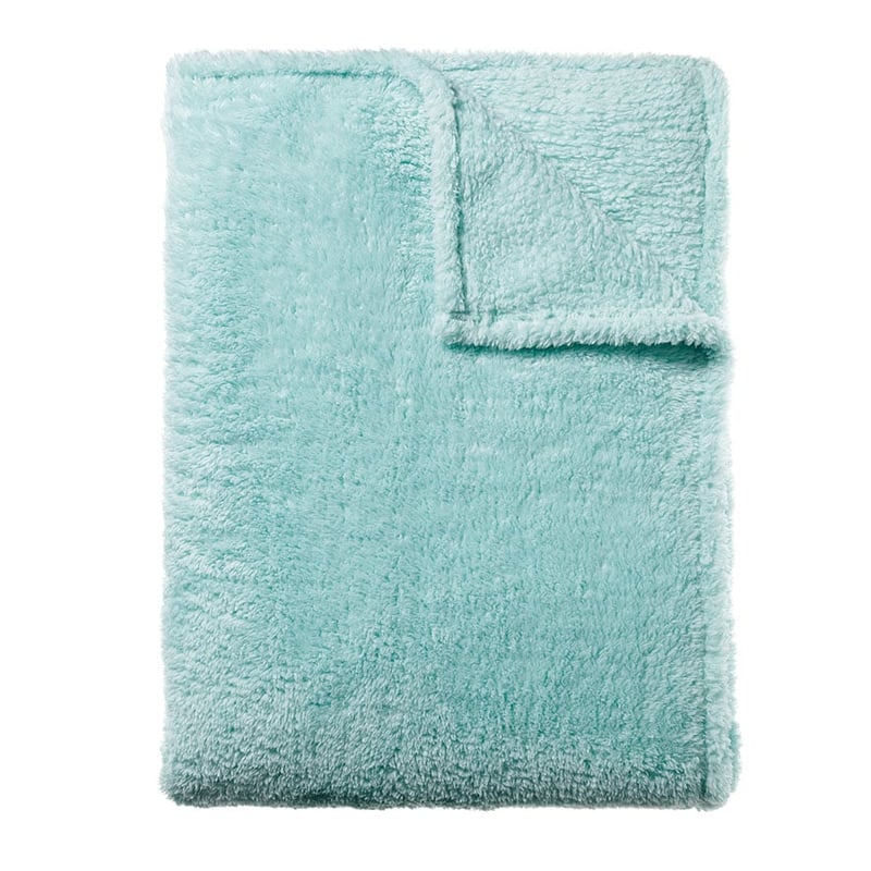 Teddy Mint Blanket