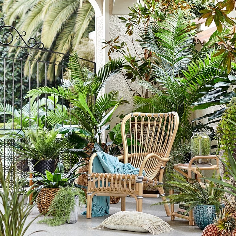 Bahama Rattan Chair 1 Seater Honey Frankie