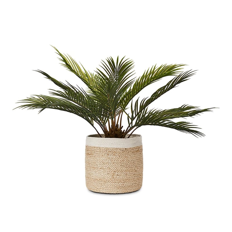 Tivoli Coastal White & Natural Basket 