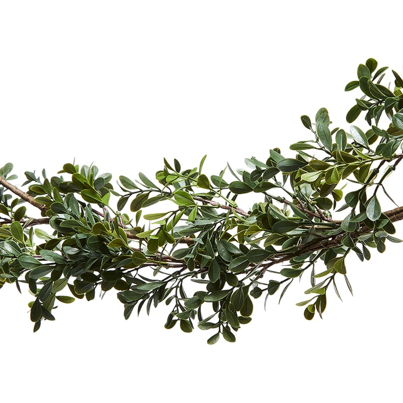 Buxus Collection Green Garland