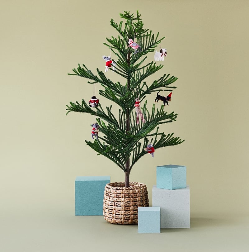 Christmas Basket
