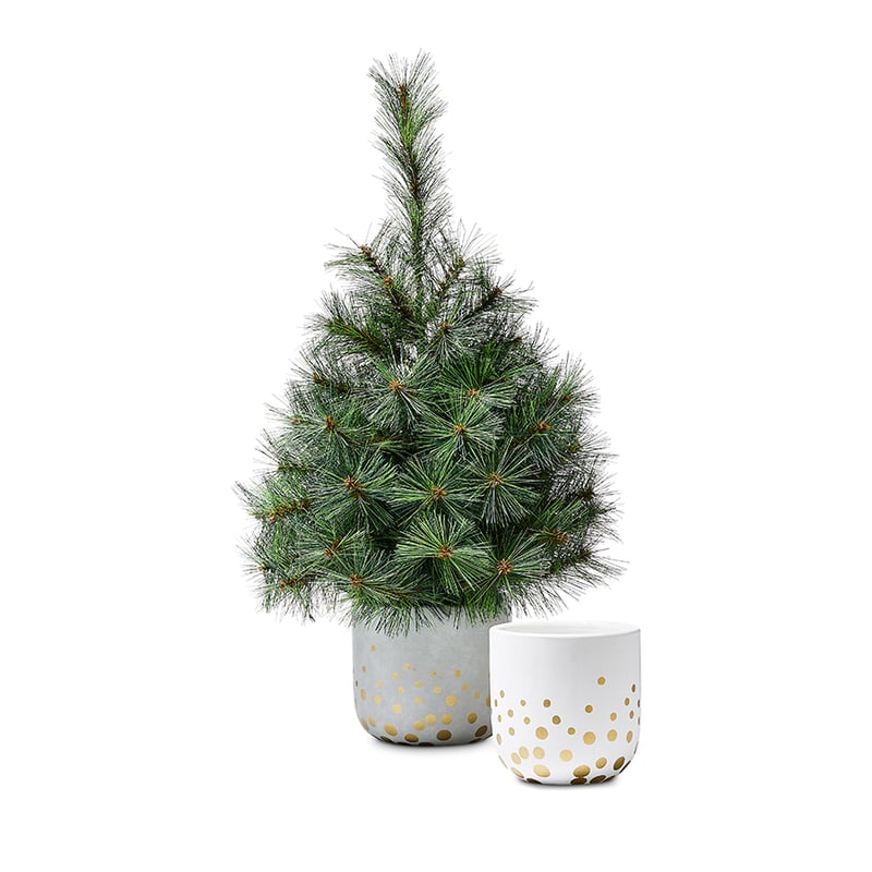 Christmas Grey & Gold Pot 