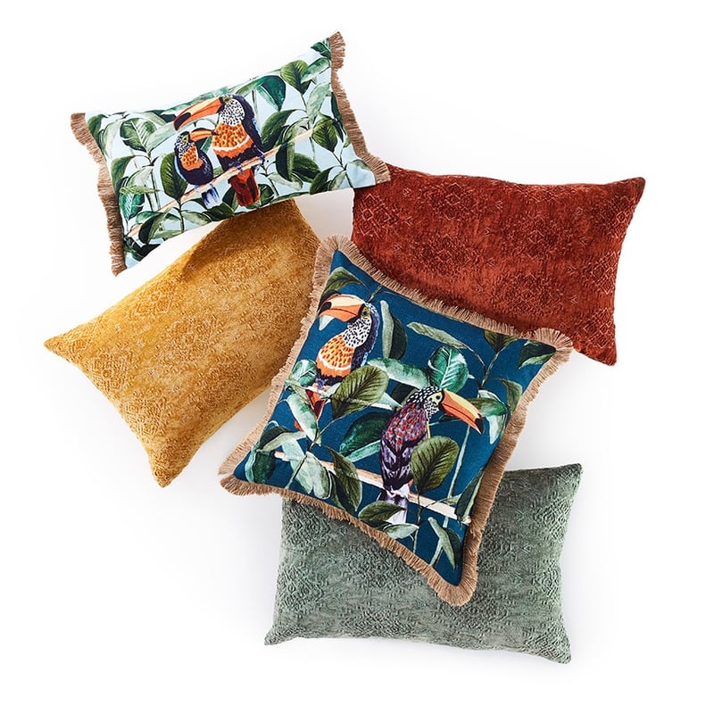 Toucan Bird Teal Jungle Cushion