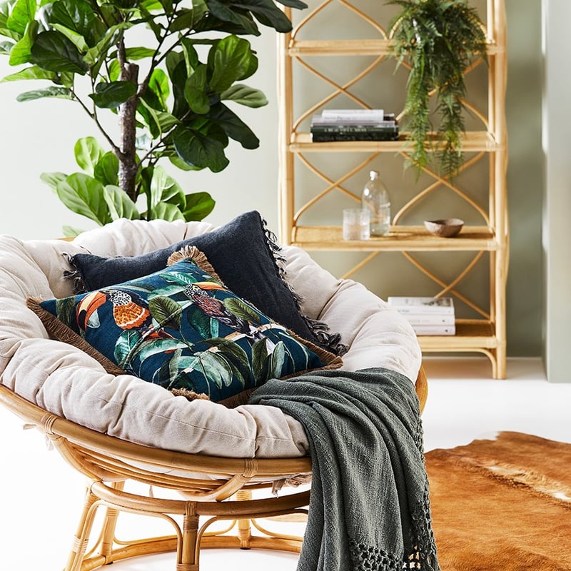 Toucan Bird Teal Jungle Cushion